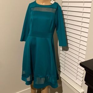 Long sleeve sheer skater dress